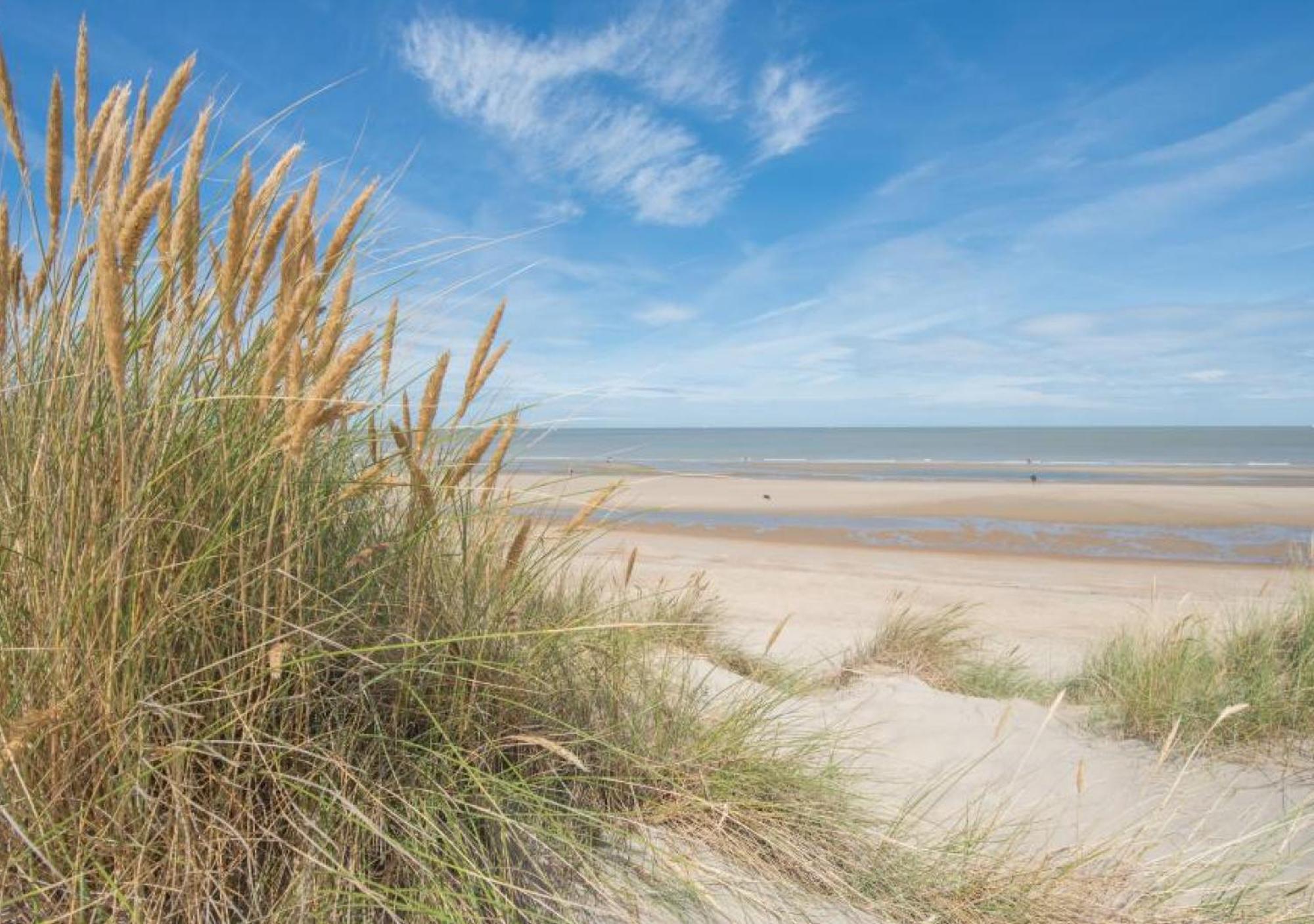 Salty - Vakantiehuisje Op De Grens Van Bredene-De Haan Exterior photo